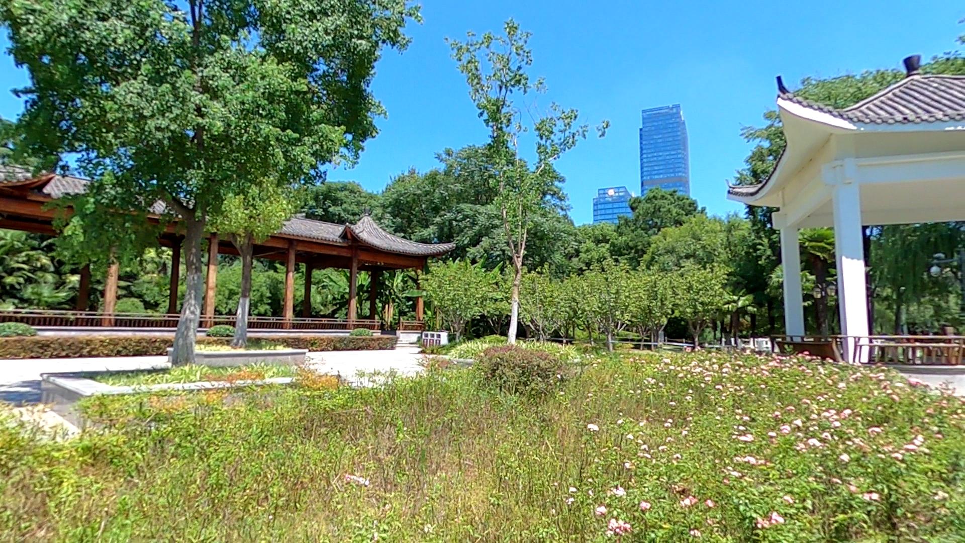 合肥的杏花公园的位置,有一棵杏花树的公园合肥