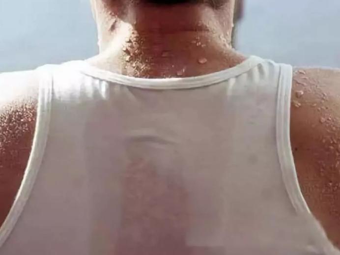 三伏天喝点什么茶解暑,三伏天又湿又热喝什么茶最合适