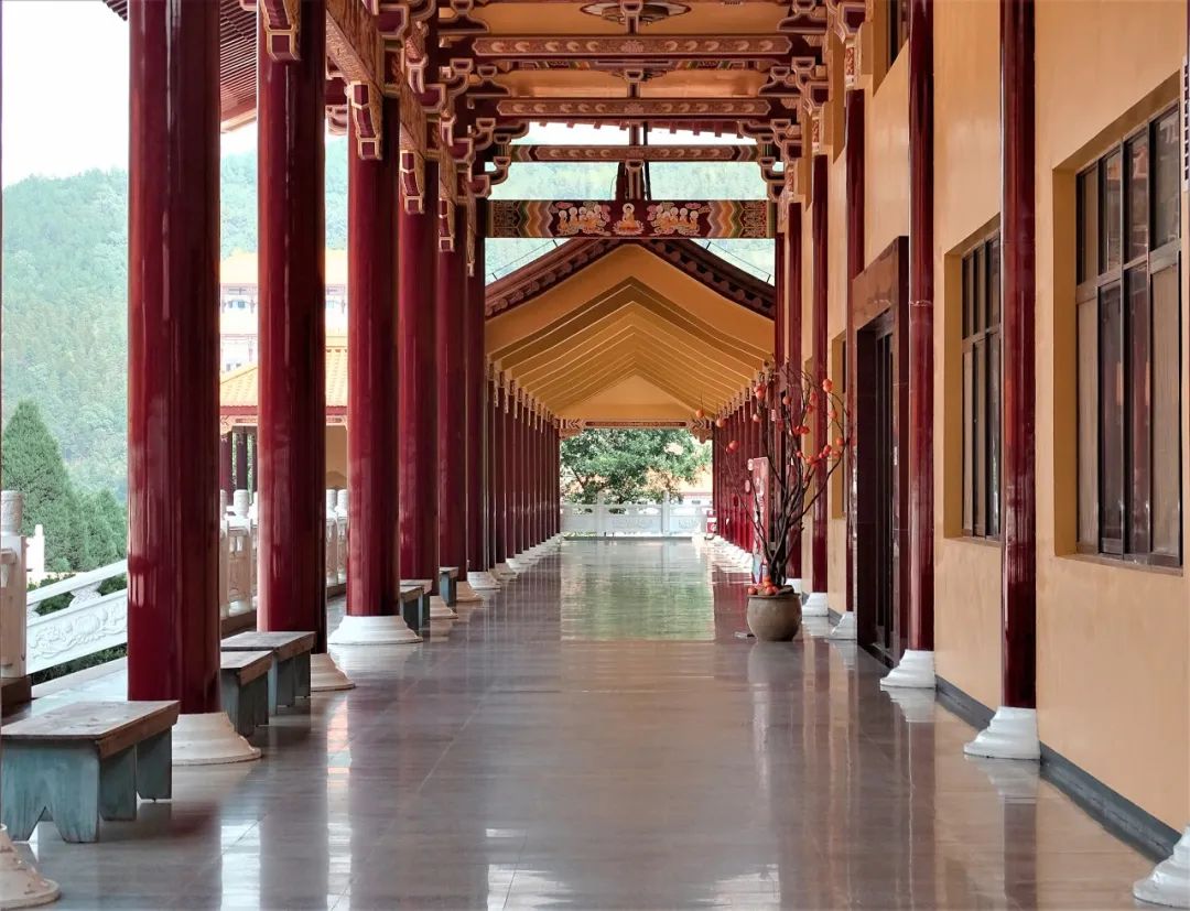 我去竹林避暑了，夏天过完再通知我！