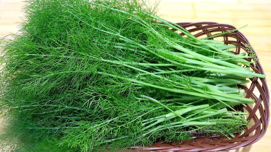 夏天祛湿气最好的水果蔬菜,三伏天吃什么菜最佳祛湿气