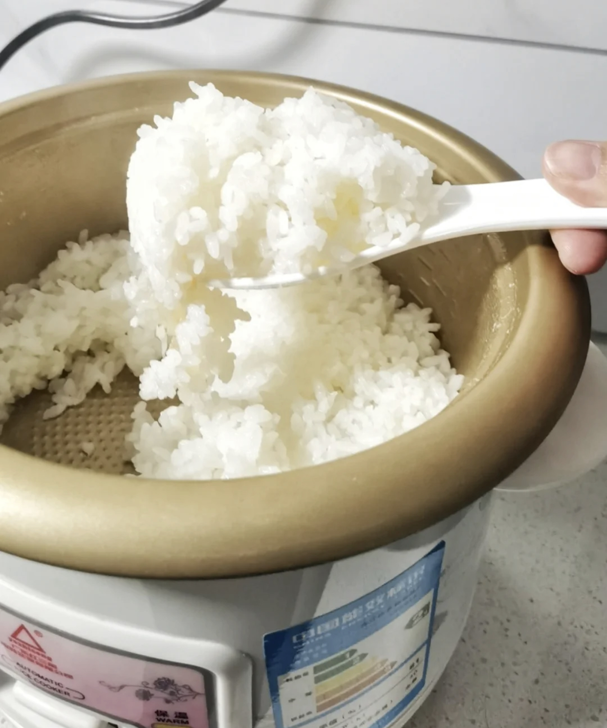 电饭煲家用有必要那么贵吗,为什么有些电饭煲这么便宜