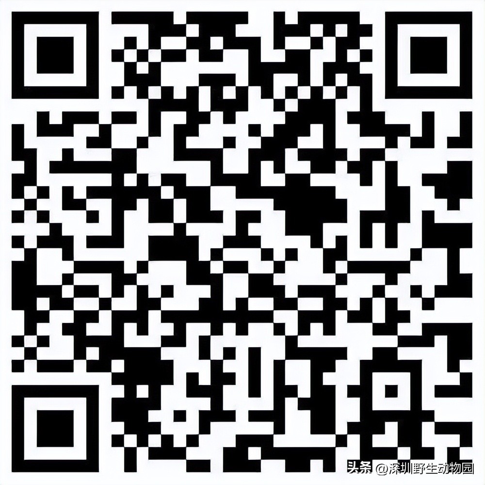 考完先别溜！优惠门票¥67.8，放松一“夏”！