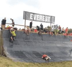 信息发错群怎么缓解尴尬,信息发错群了怎么补救