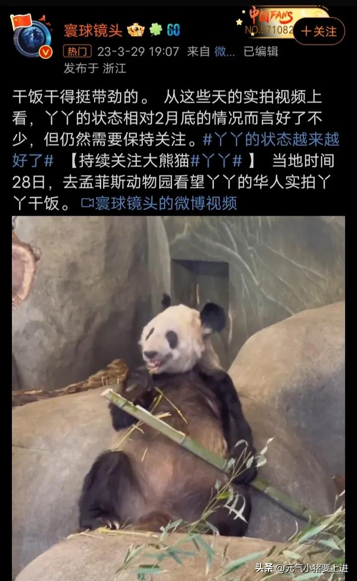 丫丫被娘家人照顾得很好,丫丫到中国后看到娘家人的反应