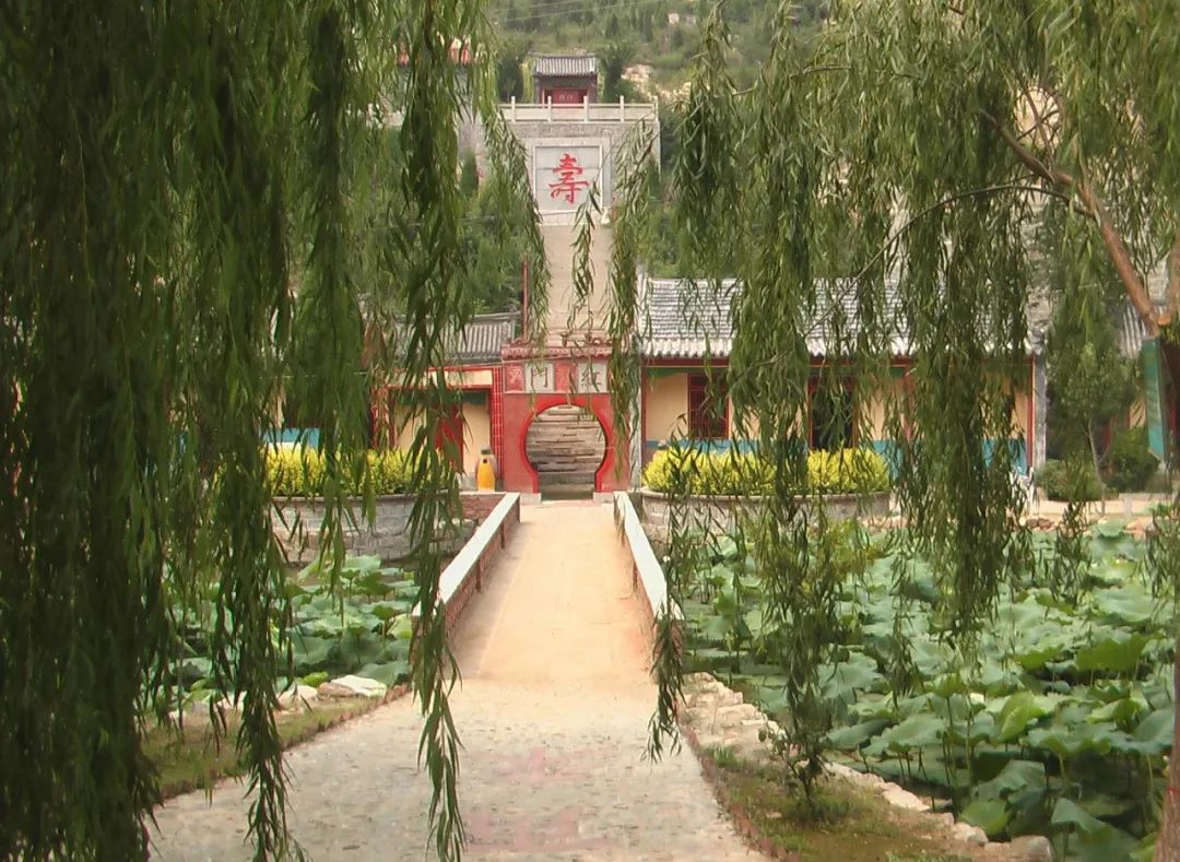 济南夜市网红打卡地点,济南网红打卡地经三路