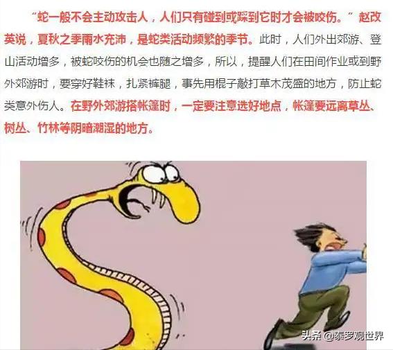 蛇为什么会把蛇打死,打蛇一定要打死不然蛇会来报复你