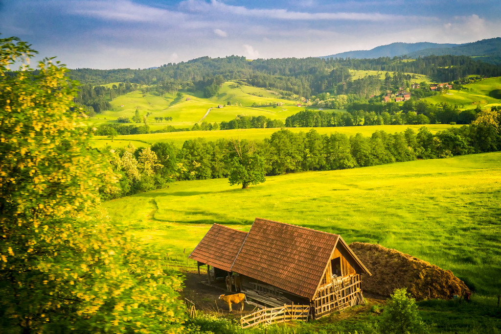 宋代苏轼写浣溪沙,苏轼浣溪沙山下兰芽写作背景