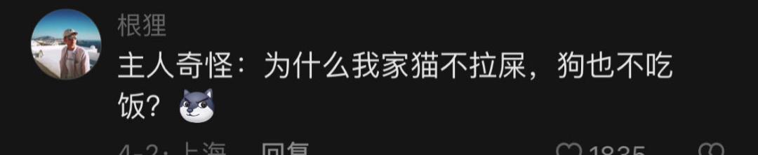 猫咪外出回来总是小心翼翼的,猫咪出走三个月后回来大变样