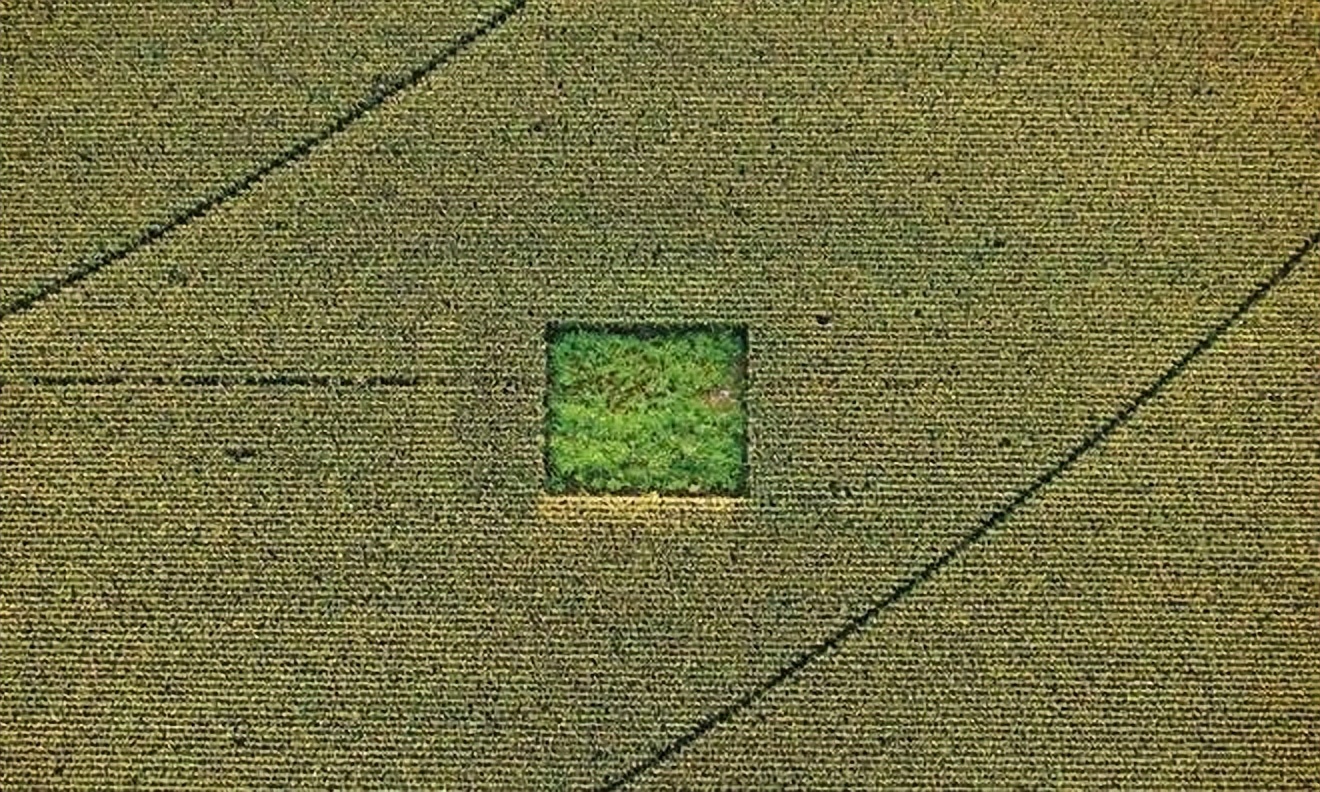 梦露惊艳写真图,女神梦露写真