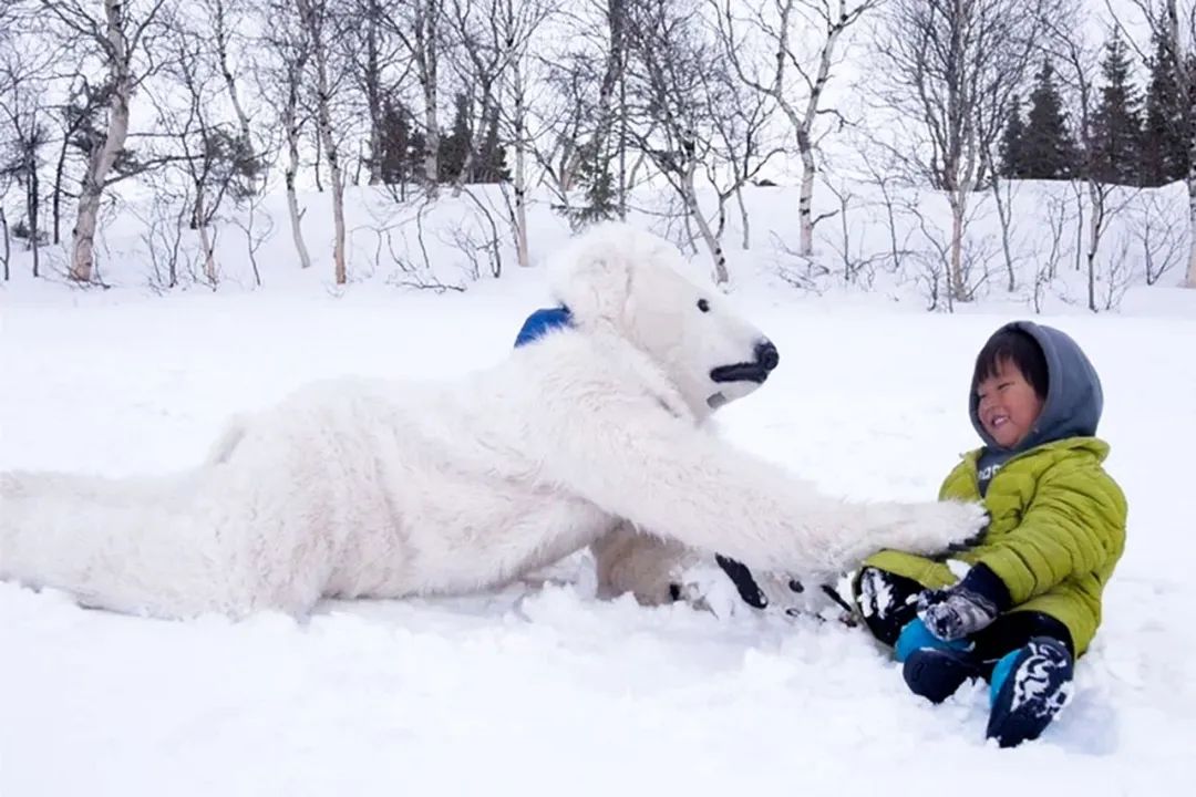 夫妻带5岁儿子环游世界,小夫妻带5岁孩子旅游边走边看