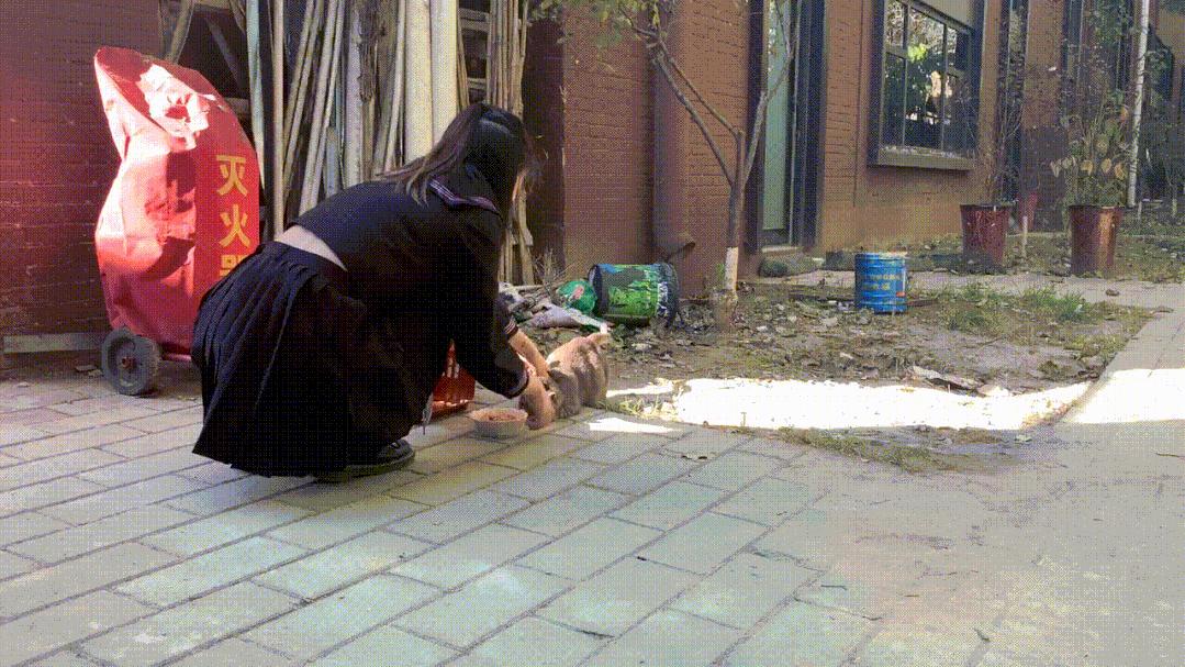 “我还没生，却给猫接生了…”