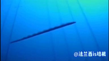 海怪“地震鱼”现身台湾！足有6米长，近期会发生地震海啸吗？