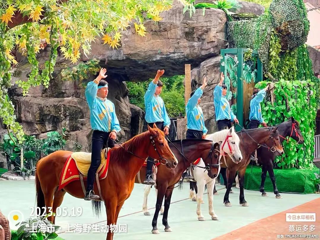 上海野生动物园和上海动物园,上海野生动物园过年营业时间