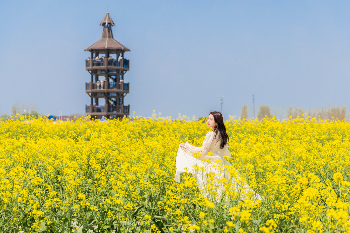 春日下江南杭州,泰州一日游攻略美食