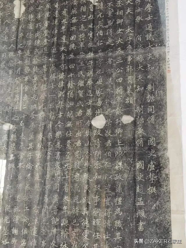 早新闻10.27|关于面向社会公开征集2023年民生实事项目的通告；国考报考指南来了！植物园秋色渐入佳境