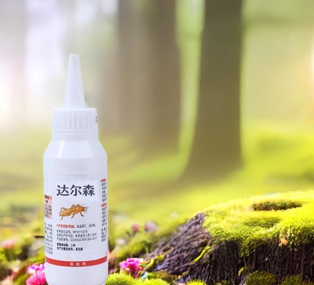 蚂蚁最害怕什么怎样才能驱赶,蚂蚁最怕什么怎么治蚂蚁