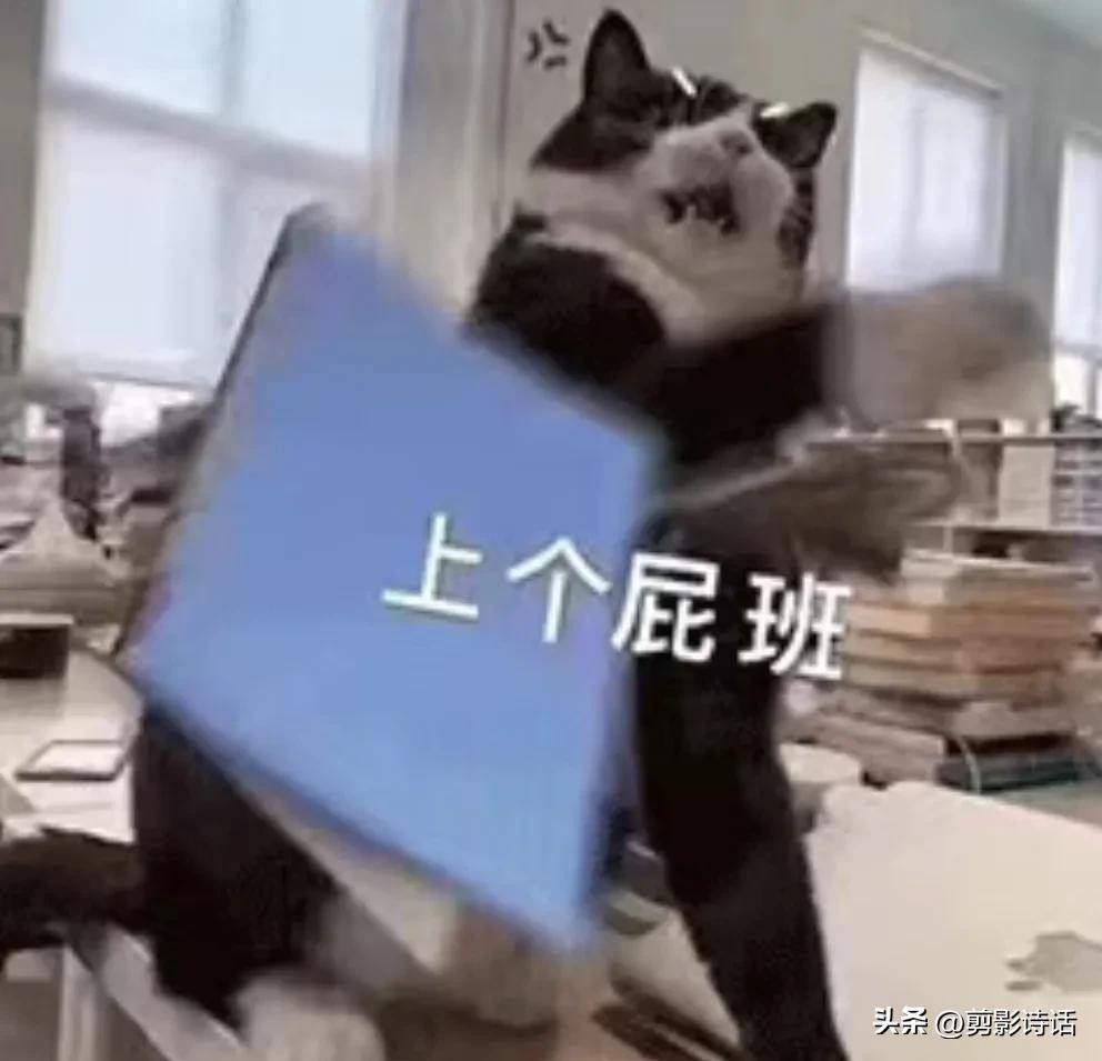 40岁再就业能干什么,40岁能干什么工作