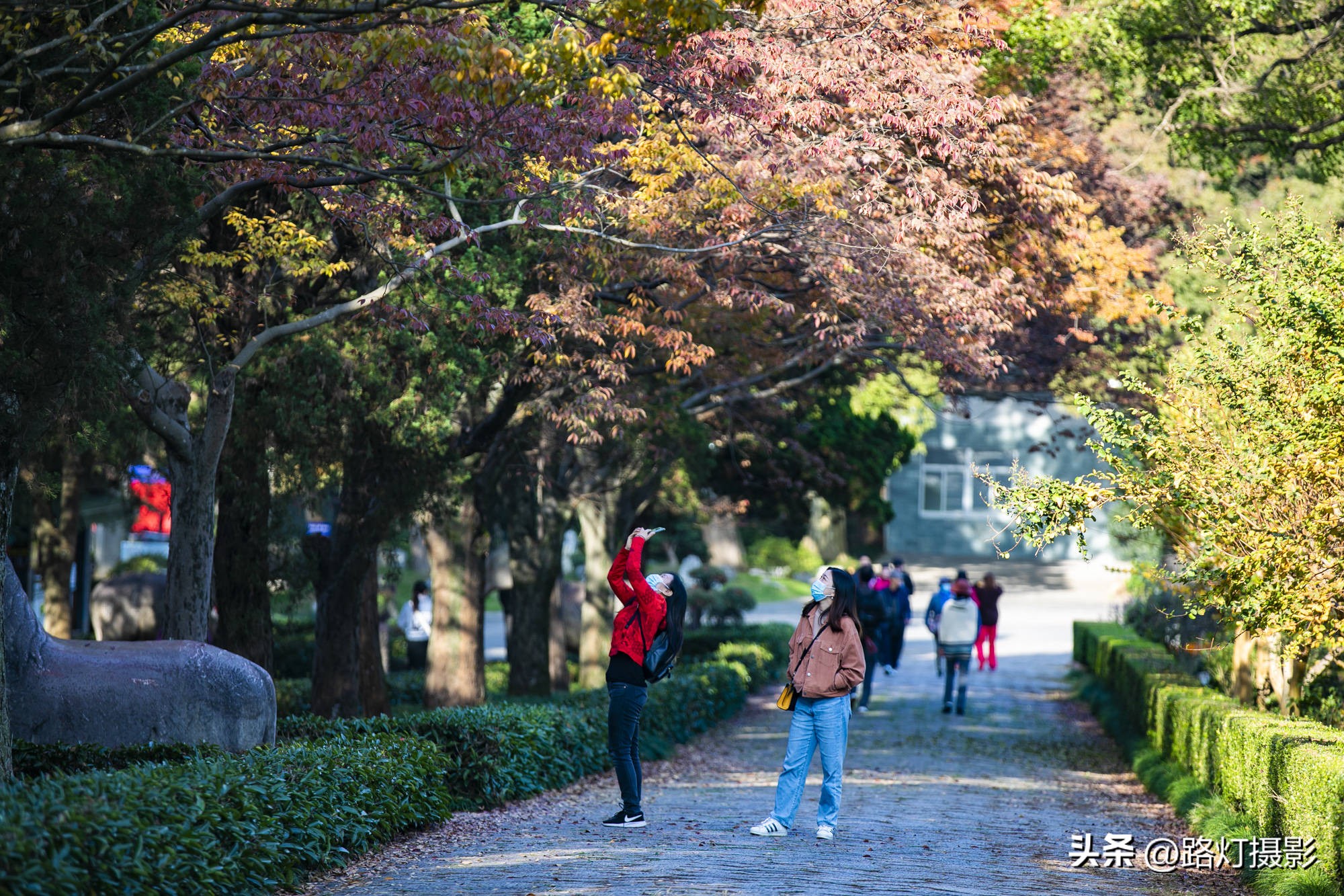 成都旅游热度全国排名,成都最佳旅游城市排名