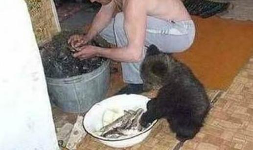 鏉戞皯鎶婄唺褰撶嫍鍏讳簡涓夊勾,琚潙姘戞敹鍏荤殑鐔婂唇