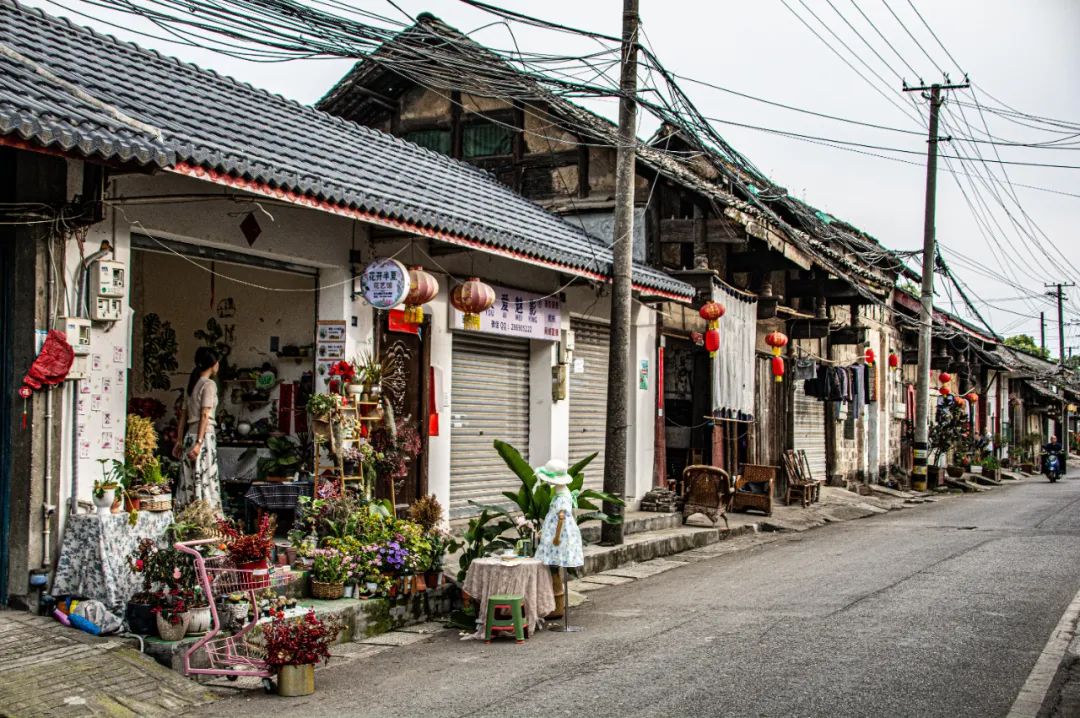 成都安乐村,成都安乐乡安乐村