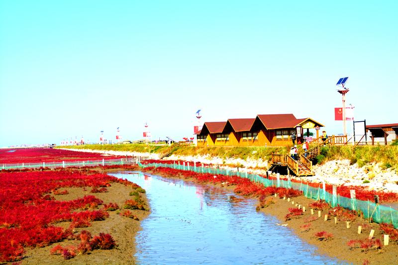 辽宁盘锦在哪个地方,去盘锦旅游哪里好