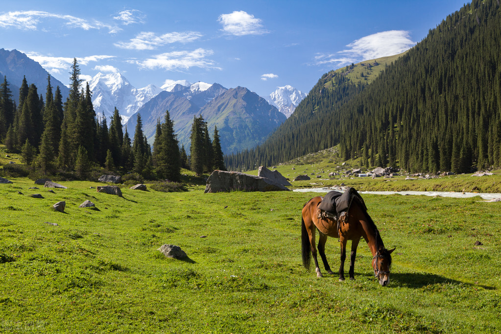 亚洲各国面积排名列表,亚洲48个国家经济排名