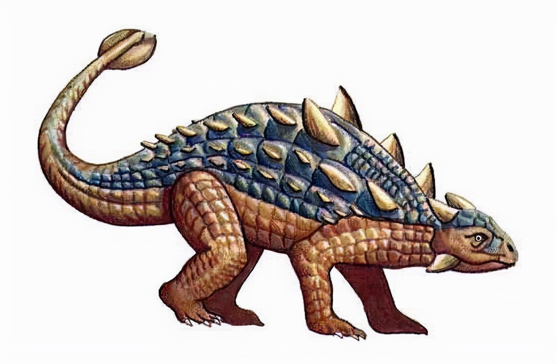 恐龙史前生物大合集,恐龙时期最强的五种恐龙