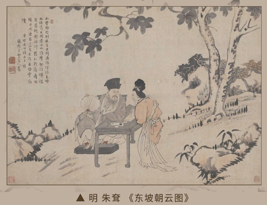 苏东坡为什么只考了第二名,苏东坡科举到底第几名