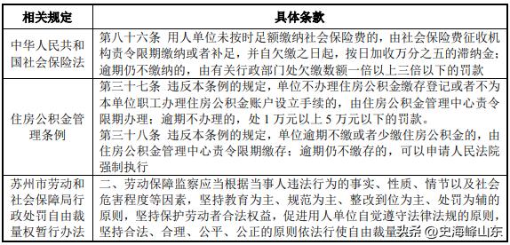 ipo阶段必须披露社保信息吗,拟ipo企业对社保的规定