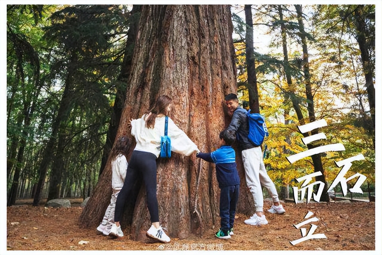 武磊靠踢球进入资产阶级,武磊回归上海海港首秀错失单刀