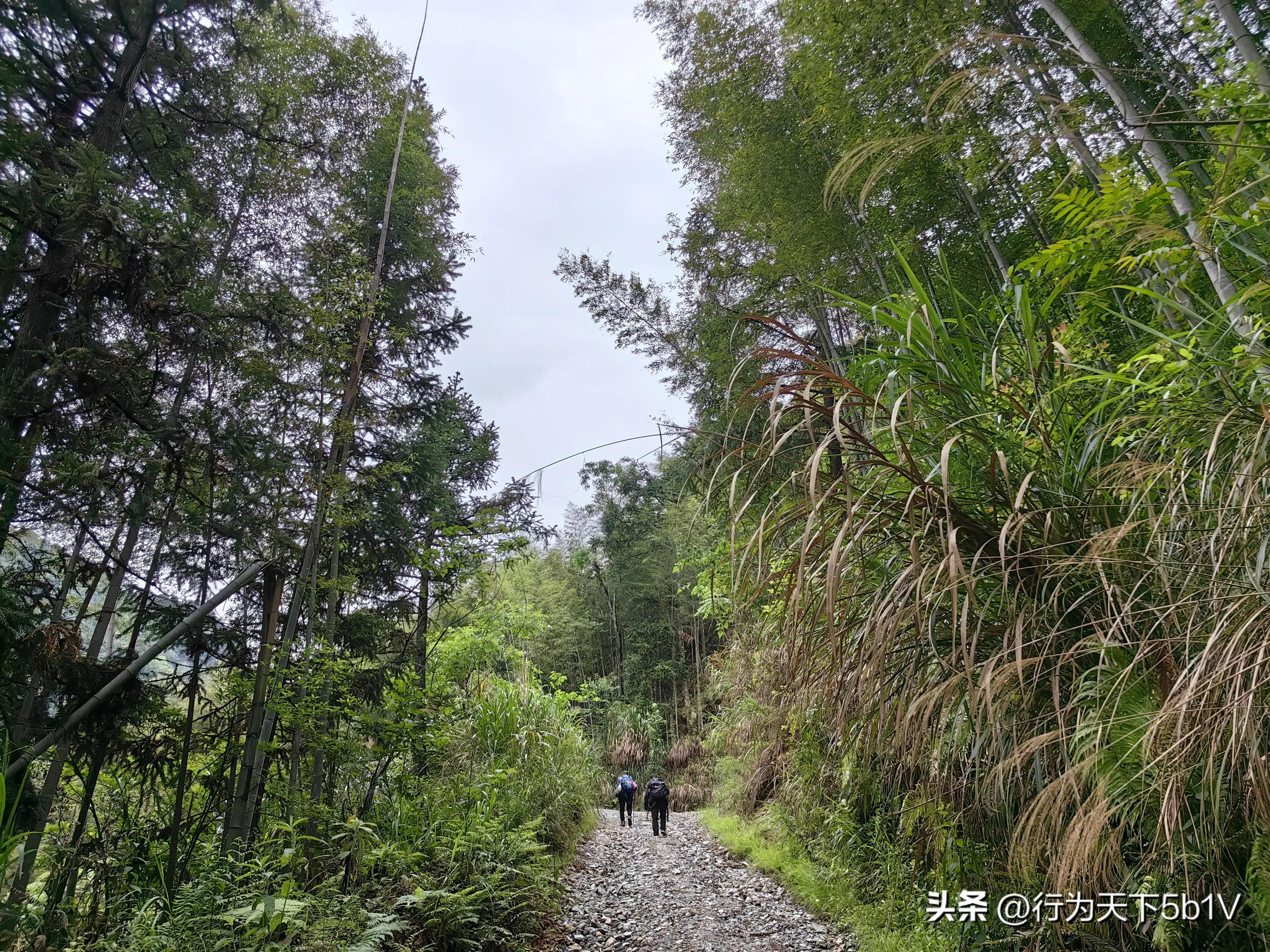 【探秘宛田红滩瀑布溯溪梦江吉翁瀑布】穿越花坪神秘风景线