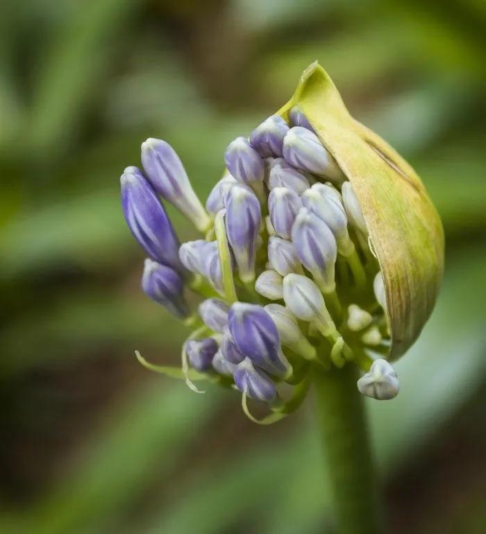 时光荏苒岁月如梭莫要蹉跎岁月,时光荏苒岁月如梭的唯美句子