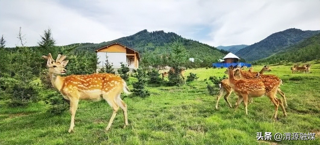 大美渭源县视频,大美渭河视频大全