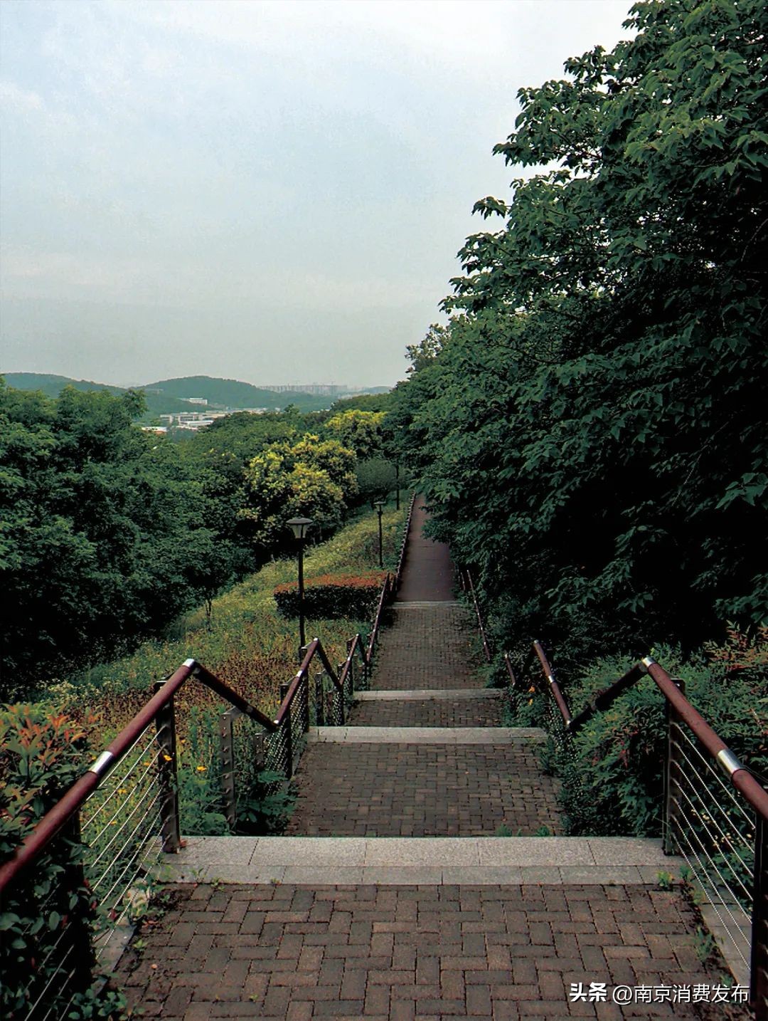 南京citywalk指南,南京12月份citywalk