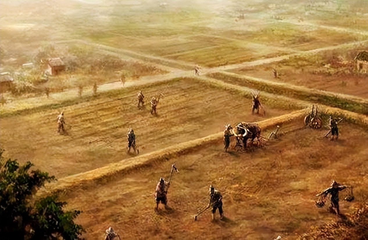 为什么老外喜欢纹牛的纹身,外国人纹身为什么爱纹汉字