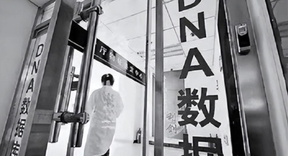 独居女子被杀后续,独居寡妇的真实事件