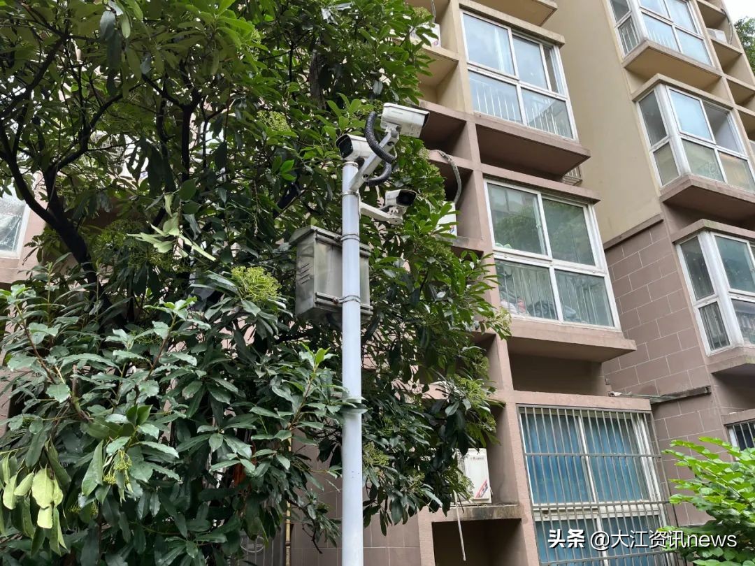 换了物业后这个小区焕然一新,换了物业的小区后来怎么样了