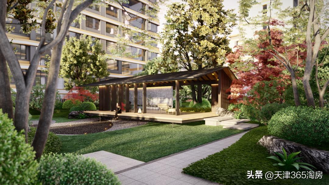 新贵！天津唯一的“学体医”板块，要爆发了！