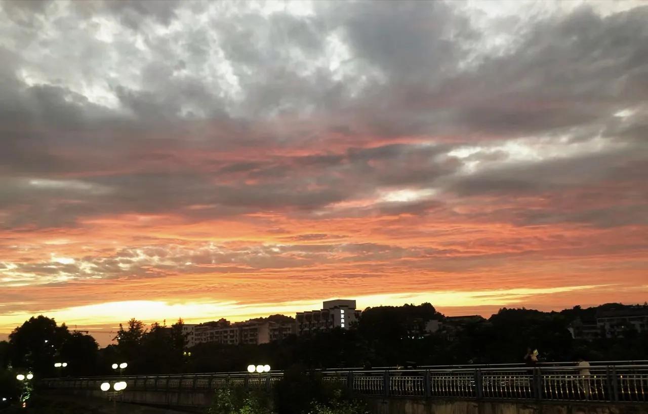 网友被骗钱的亲身经历,被骗钱的经历真实故事