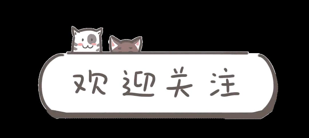 厦门上高中多难,厦门上小学要什么条件