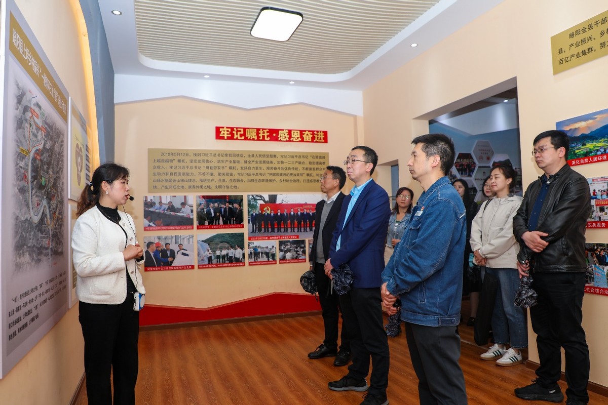 为乡村振兴添动能,供电公司全力助力乡村振兴