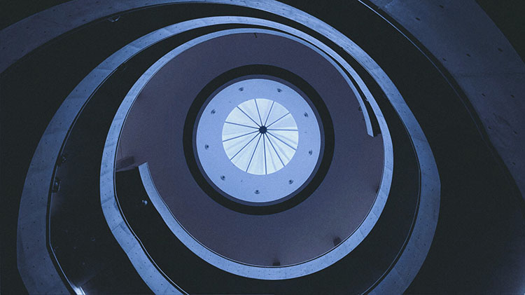 手机拍照对焦技巧大全,手机拍照对焦方法大全