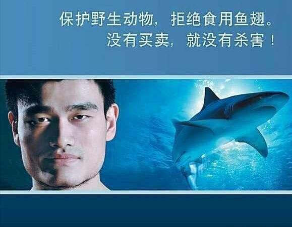 穿一次平均花费近万元，“鲨鱼皮”究竟有多神奇？