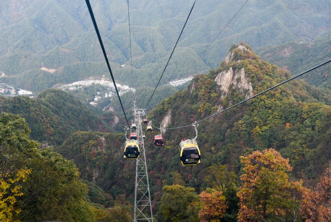 洛阳网红打卡地推荐,洛阳又一个网红打卡地