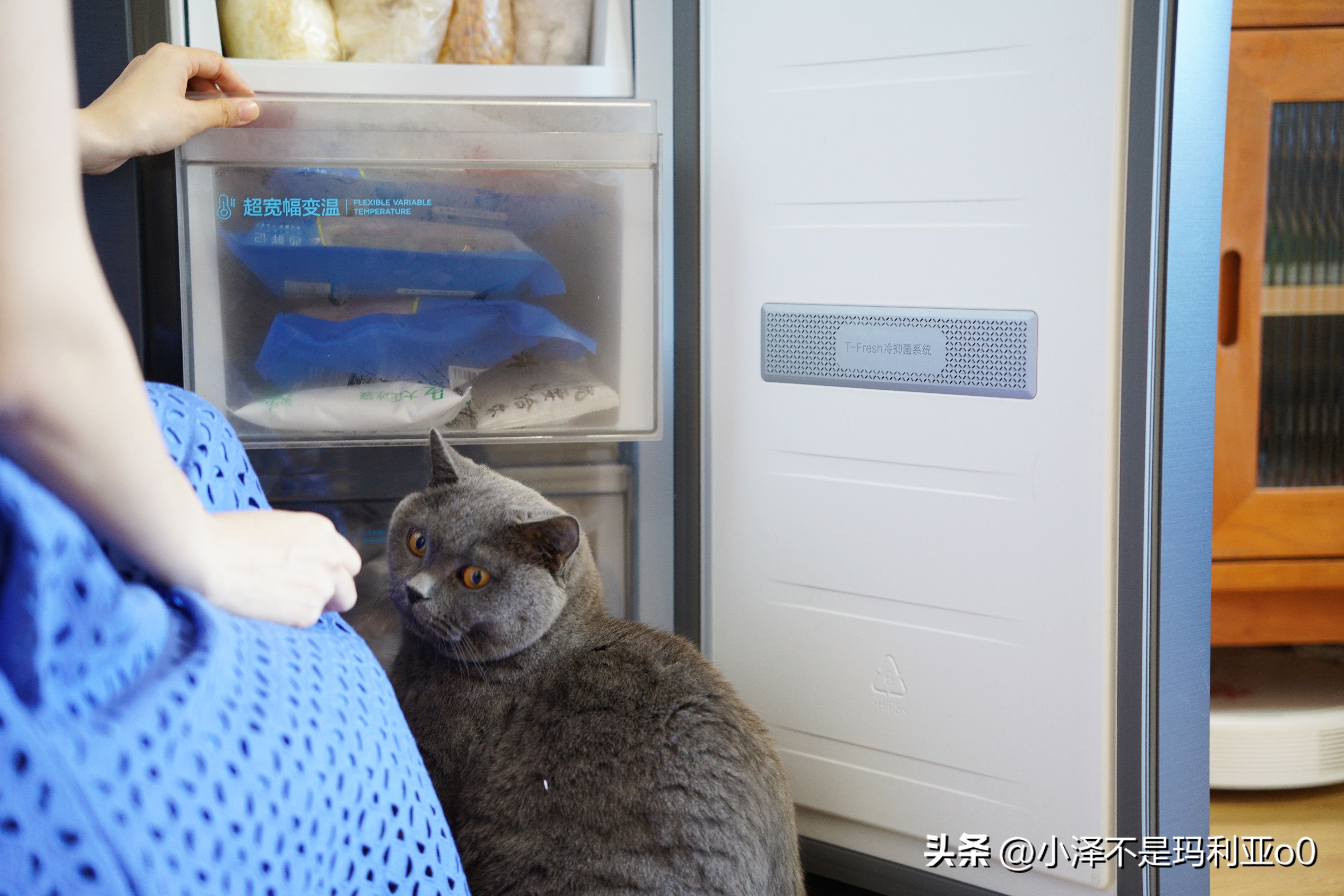 tcl嵌入式超薄t9冰箱尺寸规格,tcl嵌入式t9冰箱装修顶部预留尺寸