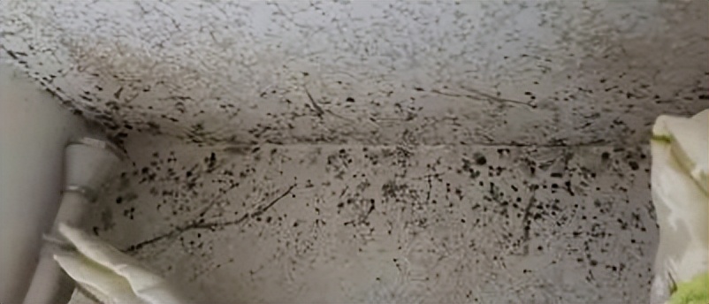 墙衣的五大缺点,墙衣怎么选