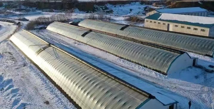 一块林地承包给两家纠纷怎么处理,一块土地同时出租给两家怎么办