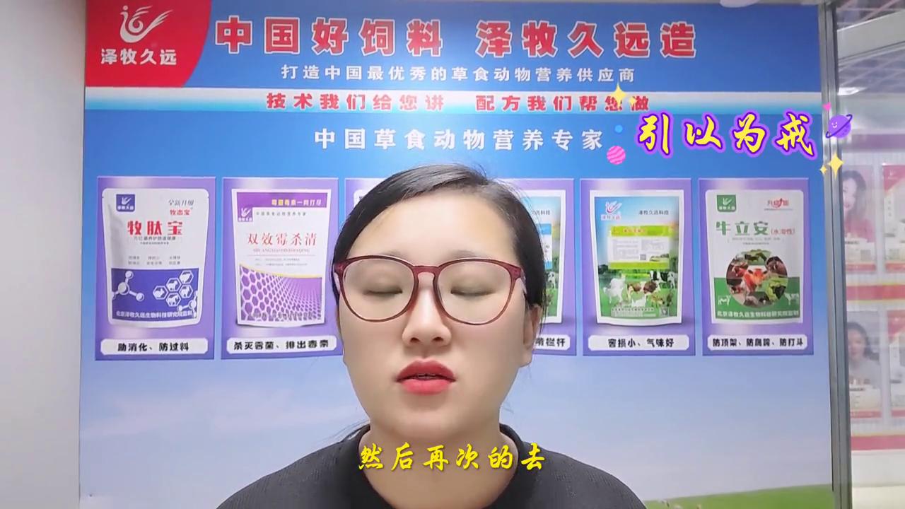 母牛难产而亡,养牛技术母牛难产助产成功