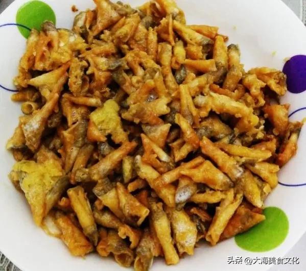 咸水鱼和淡水鱼吃什么,自然水域的鲤鱼最爱吃的几种食物