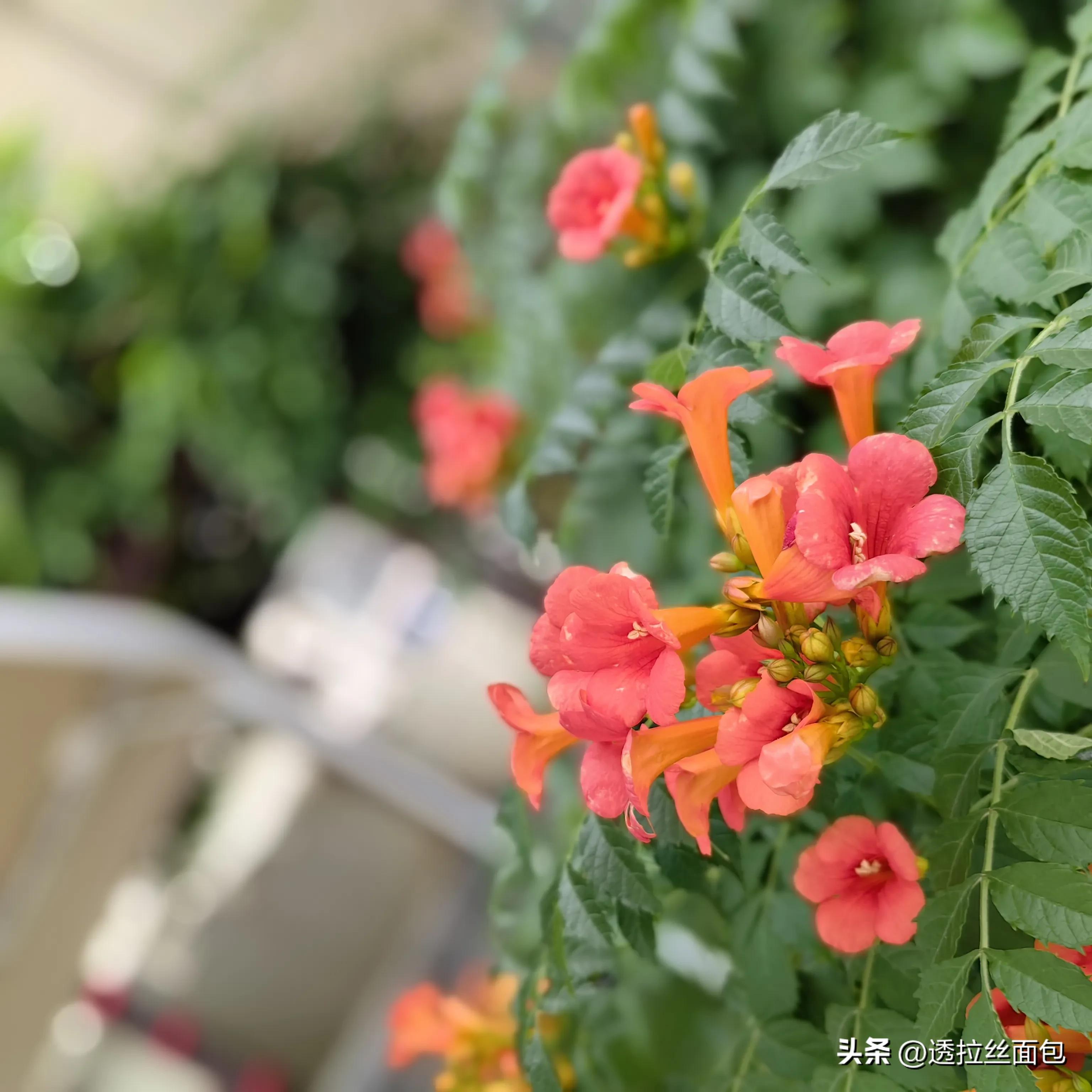 小孩手指创可贴,小孩手指贴创可贴视频